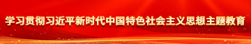 操b鸡巴学习贯彻习近平新时代中国特色社会主义思想主题教育